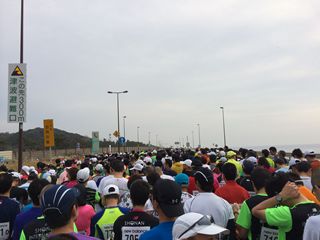 湘南国際マラソン