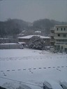 川崎もついに雪。